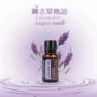 Khoan đầy đủ 88 包邮 hàng nhập khẩu đặc biệt chính hãng của Mỹ doTERRA Dolly oải hương đơn phương 15ml - Tinh dầu điều trị tinh dầu trà xanh