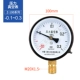 đồng hồ điều chỉnh áp suất khí Relda Y100 thông thường đồng hồ đo áp suất chân không âm đồng hồ đo áp suất loại con trỏ 0-1.6mpa dầu khí áp suất nước máy nén khí đồng hồ đo đồng hồ hơi khí nén đồng hồ áp suất 3 kim