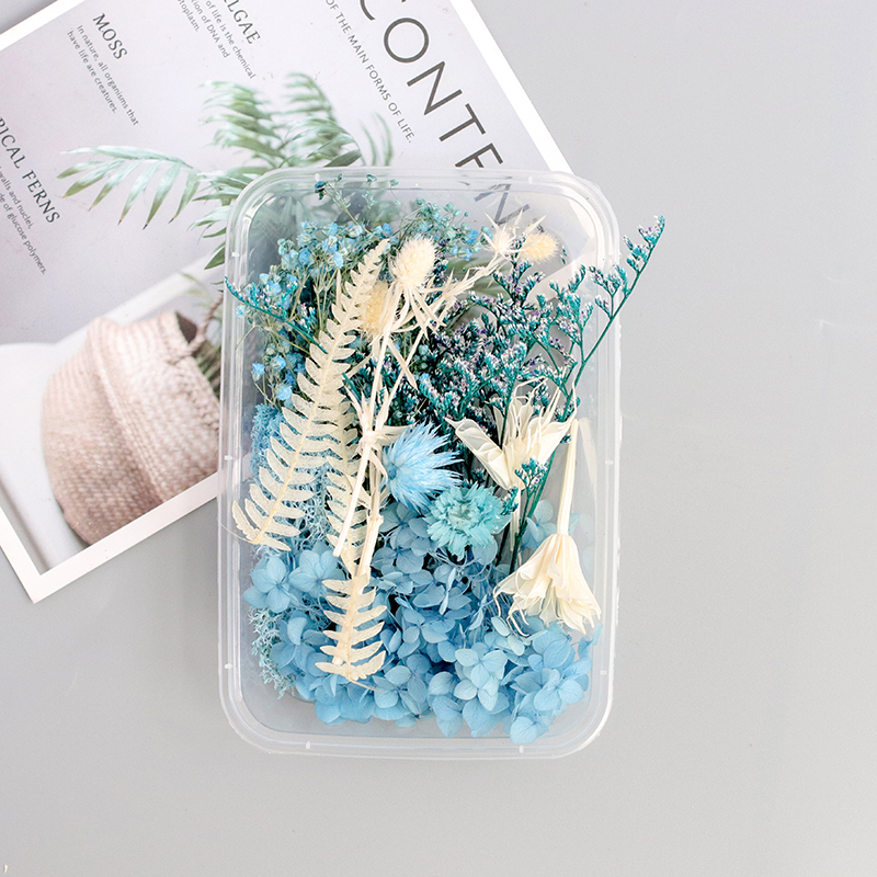 Linglan / Dried Flower Boxbeautiful Mu son Mixed pack diy Hand made decorate Immortal flower Dried flower Set meal Material Science diy Photo frame Flower wood Embossed bag