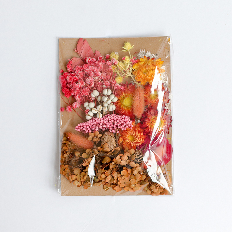 Looking Forward To Autumn / Embossed Bagbeautiful Mu son Mixed pack diy Hand made decorate Immortal flower Dried flower Set meal Material Science diy Photo frame Flower wood Embossed bag