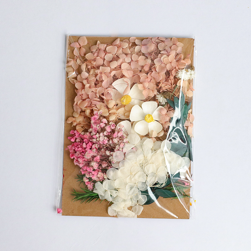 Colorful / Embossed Bagbeautiful Mu son Mixed pack diy Hand made decorate Immortal flower Dried flower Set meal Material Science diy Photo frame Flower wood Embossed bag