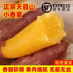 临安天目山小香薯3斤