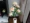 Mô phỏng Hoa mẫu đơn 3 đầu 5 đầu 8 bó hoa giả phòng khách sàn nhà trưng bày hoa nhựa nụ hoa khô hoa trang trí hoa - Hoa nhân tạo / Cây / Trái cây