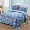 Pha lê giường nhung bao gồm một mảnh tấm vải liệm bìa tăng kang tatami giường bông khăn trải giường bìa Quilt thảm hai mặt - Trải giường thảm lông trải giường ngủ
