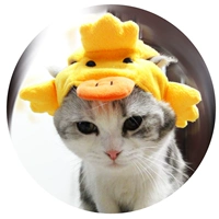 Утиная шляпа