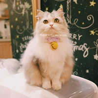 Сиреневый шарф