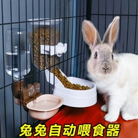 Устройство автоматического кормления кролика для предотвращения отходов пищевой корма для питательных животных, поставки в кормление травы, нагреватель питья кролика