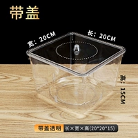 Кремовый, белый