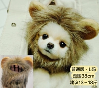 Little Lion (обычная версия) L код