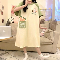 YZL-61606 RADISH RABBIT