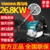 Máy cắt cỏ Yamaha nhập khẩu từ Nhật Bản ba lô bốn thì hộ gia đình nhỏ máy xới đất chạy xăng đa chức năng giá máy cắt cỏ Máy cắt cỏ