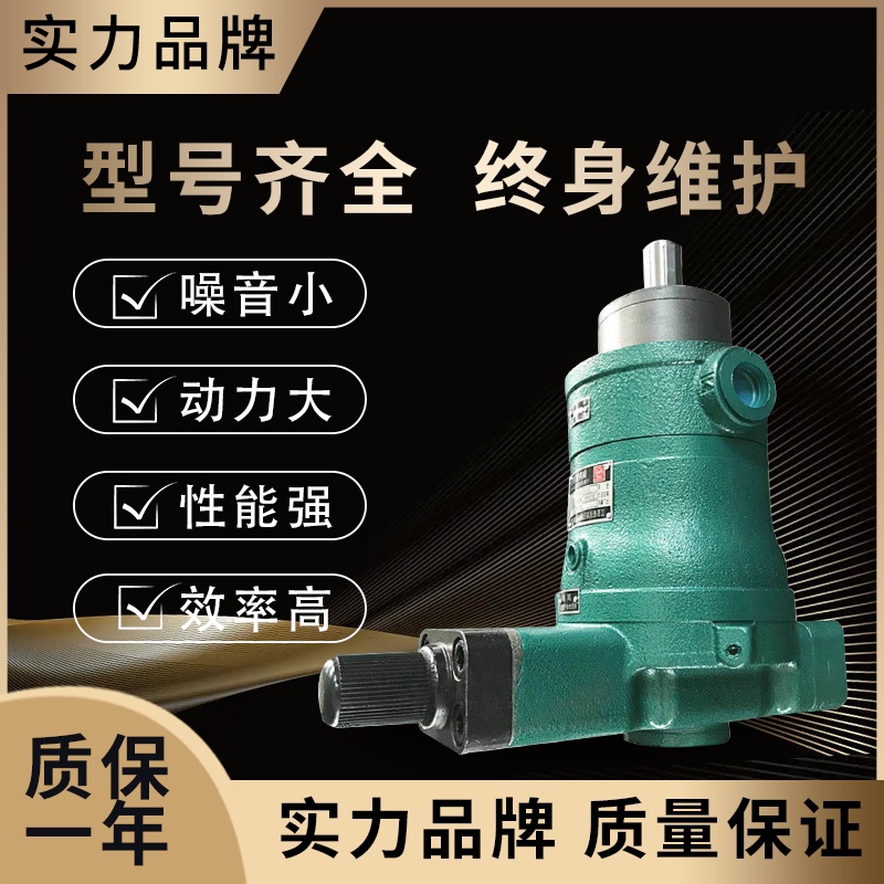 ký hiệu bơm thủy lực Bơm dầu cao áp Qidong 10 16 25 40 63 80 100 160 250YCY14-1B Bơm piston hướng trục bơm kích thủy lực bơm cánh gạt thủy lực