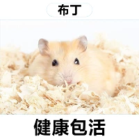 Пудинг одна пара