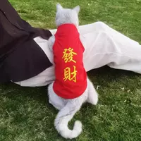 Удача [летняя тонкая модель]