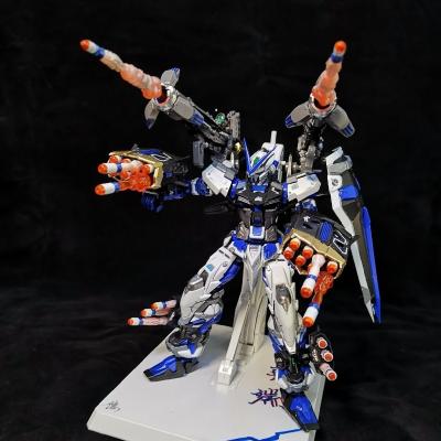 Gun Blue Heresy (Taipan)Special clearance price Big class DX Model Assembly MG1 / 100 , z , Yellow Wolf , storm , heresy free