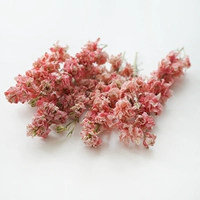 Feiyan Flower-about 10 Pink 5g
