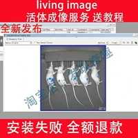 Living Image4.4 Установочный пакет услуги Live Imaging Service Win Установка