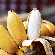 【坏果包赔】广西香蕉新鲜小米蕉8斤