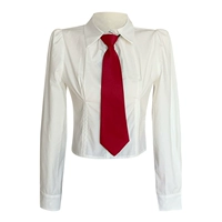 Рубашка, лонгслив, галстук