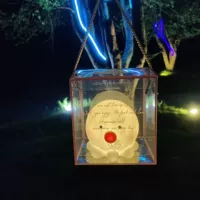 Белый осьминог ночной свет+подарочная коробка