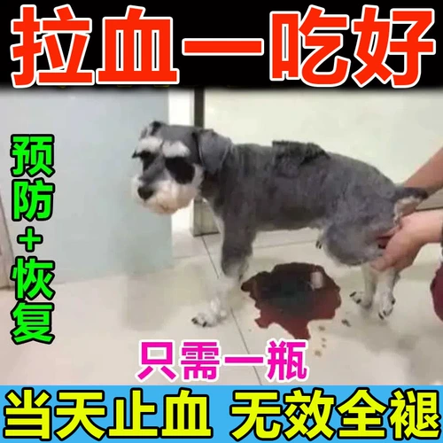 Собаки, тянущие к крови рвота, вытаскивание дромов дхармы Делома Гранд мягкая крови плазма Плазма боли кошка кошка кошка кошка