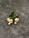 hoa giả cúc họa mi 5 màu hồng vẻ đẹp hoa hồng hoa nhân tạo tăng nhân tạo hoa trang trí hoa bảng hoa trang trí phòng khách nhà hoa nghệ thuật cây anh đào giả cây giả trang trí quán cafe