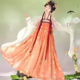 Hanfu Women's Style Style Qi Simply Embroidry da