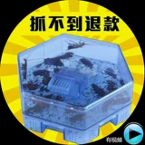 Монгольский тараканный коробка для захвата уборка таракана Дом разрушенный таракан