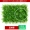 Mô phỏng cỏ cây tường trang trí cỏ hoa tường xanh trang trí nội thất nhựa hoa màu xanh lá cây tường tường - Hoa nhân tạo / Cây / Trái cây