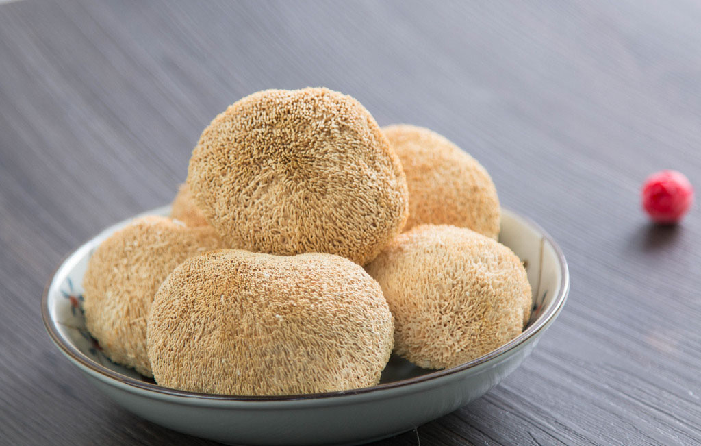 "素中之荤"猴头菇,简单挑选方法