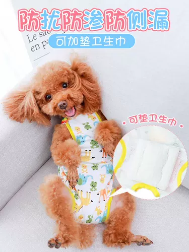 Щенка для щенка Тедди биологические штаны Менструальная безопасность женщин и санитарные тети полотенец брюки брюки.