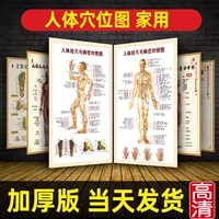 Традиционная китайская медицина Meridian Acupoint Диаграмма примерка. Процедура Мидиана Meridian Meridian. Спецификации физиотерапии HD Большая висящая диаграмма ys