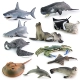 Mô phỏng động vật sinh vật biển mô hình cá voi sát thủ cá mập trắng lớn rùa cá heo báo cá voi cá voi bạch tuộc mực đồ chơi trẻ em nhận thức siêu nhân đồ chơi