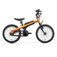 Vitality Orange 16 дюймов