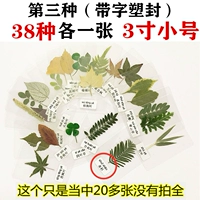 38 маленьких листьев (метки пластиковой ленты)