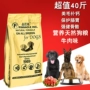 Thức ăn cho chó Golden Retriever Chó con Labrador 1-3 tháng đặc biệt bổ sung canxi cho chó trưởng thành lớn loại chung 40 kg - Chó Staples đồ ăn cho chó poodle