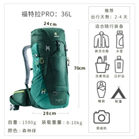 36L (Pro) Forest Green 3401118