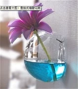Bình thủy tinh treo tường đa năng Bình thủy tinh thủy tinh Hoa hồng xanh chèn bình hoa Bình treo tường - Vase / Bồn hoa & Kệ