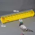 Pigeon cung cấp đồ dùng Máng nhựa inox Máng Pigeon nhựa máng thép máng ăn tự động máng ăn cho gà Chim & Chăm sóc chim Supplies