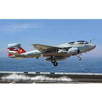 ① Tianli K48044 4812 EA-6B "Blandering" 1/48 Прикрепите к автомобилю