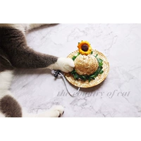 Зеленая соломенная шляпа