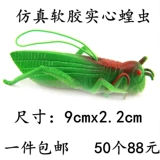 仿真蝗虫软胶动物玩具软体仿真大蝗虫愚人恐吓整人发泄橡胶蝗虫