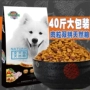 Thức ăn cho chó loại chung 20kg40 kg vận chuyển teddy vàng tóc samoyed huskies side puppies dành cho người lớn dog staple thực phẩm thức ăn thú cưng