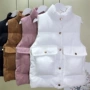 Giải phóng mặt bằng 2018 thu đông 2018 phiên bản mới của Hàn Quốc áo thun nhung dày kẻ sọc nữ áo ngắn kiểu dáng Harajuku áo khoác len nữ
