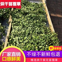 Через 23 года новая трава -хробиб кроличье кроличье питание молодого кролика Тоторо кормить морские свинки голландская свинья еда 苜 宿 宿 宿 苜 苜 苜 苜 苜 苜 苜 苜 苜