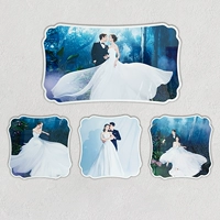 Весь набор (48 -INCH VAING RAME+Triple Frame+Delivery)