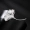 银杏 胸针 Nữ thời trang Hàn Quốc áo khoác đơn giản Áo cardigan pin cá tính khí chất trâm nhỏ - Trâm cài