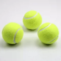 Phục vụ trò chơi cơ sở và trung cấp thú cưng đặc biệt đồ chơi cao hồi phục quần vợt đào tạo thiết bị bóng trẻ em 3 - Quần vợt vợt tennis mắc nhất