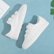 Giày trắng nữ Velcro 2019 mới sang trọng phiên bản Hàn Quốc của những đôi giày hoang dã dành cho sinh viên