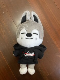 Фанат StrayKids SKZ Волчонок Малый Волк Пятно